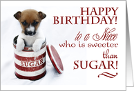 Happy Birthday to a Niece Sweeter than Sugar with Cute Puppy card