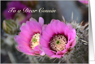 Happy Cousins Day, Cactus Flowers card