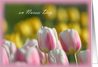Nurses Day Tulips, pink and white tulips card