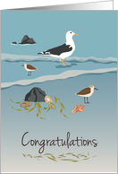 Congratulations Beach Shoreline card