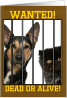 Wanted, Dead or Alive! April Fools humor custom photo cards