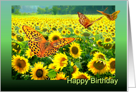 Happy Birthday Butterflies over Sunflower Field card