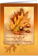 Thanksgiving Life of Gratitude with Autumn Leaves and Acorns card