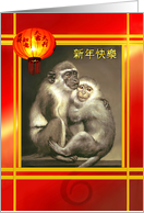 Chinese New Year of the Monkey with Monkeys & Chinese Lantern card