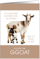1st Mother’s Day for Nana with Cute Goats card