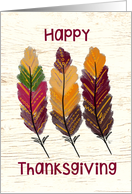 Happy Thanksgiving Day with Decorative Fall Feathers card