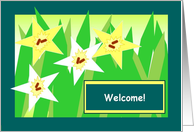 Welcome! - Yellow & White Star Daffodils card