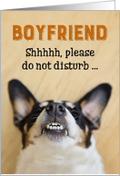 Boyfriend - Funny Birthday Card - Dog with Goofy Grin card