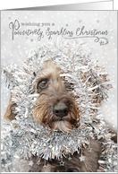 Humorous Christmas Card - Dog Wearing Tinsel card