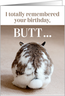 Funny Belated Birthday - Cute Bunny Butt card