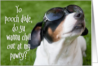 Dog Birthday Party Invite - Jack Russell Terrier in Sunglasses card