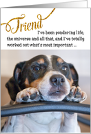 Friend Funny Birthday Card - Dog Pondering Life and The Universe card