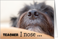 Teacher Humorous Birthday Card - The Dog Nose card