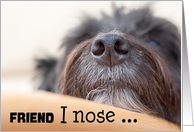 Friend Humorous Birthday Card - The Dog Nose card