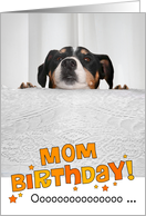 Mom Humorous Birthday Card - Dog Peeking Over Table card