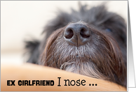 Ex Girlfriend Humorous Birthday Card - The Dog Nose card
