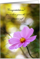 Congratulations On Custody - Pink Cosmos At Twilight card