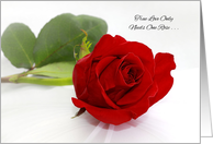 Marriage Proposal Will You Marry Me? Single Red Rose card