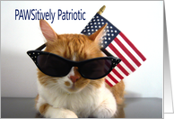 Happy Memorial Day - Cool Cat with Flag and Sunglasses card