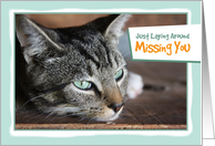 Pretty Cat, Just Laying Around Missing You card