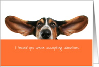 Donation, Charitable Gift for Animal Rescue Shelter card
