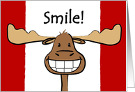 Canada Day, Canadian Flag, Happy Moose Card