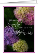 Sympathy, Loss of Mother-in-Law, Painted Hydrangea Flowers card