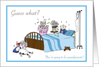 You’re becoming grandparents, Pregnancy announcement, Cat and mouse card