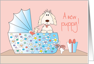 Congratulations for New Puppy, with floral bassinette card
