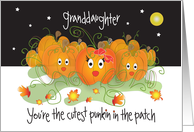 Halloween for Granddaughter, Cutest Punkin in the Patch card