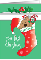 First Christmas for Granddaughter, Bear in Santa Hat in Stocking card