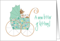 Congratulations on a new Litter of Kittens, Stroller with 3 Kitties card