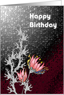 Birthday Abstract Florals in Pink and Grey card