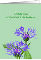 Birthday for Surrogate Mother Pretty Mountain Bluet Flowers card