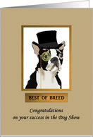 Congratulations best of breed, dog wearing top hat and monocle card