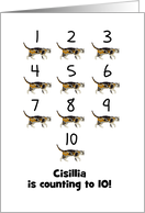 Custom Congratulations Counting to 10 Cute Cats Numbers card