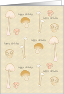 Birthday For Him A Fun Guy Lots Of Fungi Mushrooms card