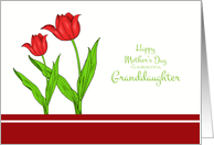 Mother’s Day for Granddaughter - Red Tulips card