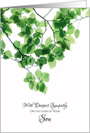 Sympathy Loss of Son - Green Leaves card