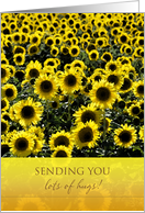 Thinking of You Sunflowers card