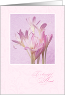 Mother’s Day for Aunt - Soft Pink Flowers card
