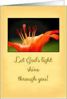 Orange Lily - New Ministry Congratulations Card