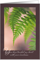 Two Ferns Touching Thank You for Kindness card
