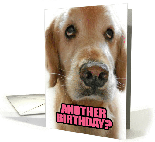 Another Birthday, Another Reason to Party! Golden Retriever card