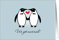 Gay Penguins Wedding Announcement card
