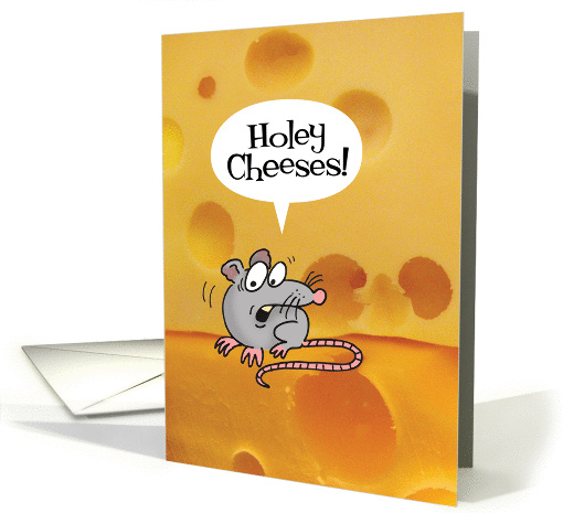 Birthday-Holey Cheeses! Funny/Punny card (880097)