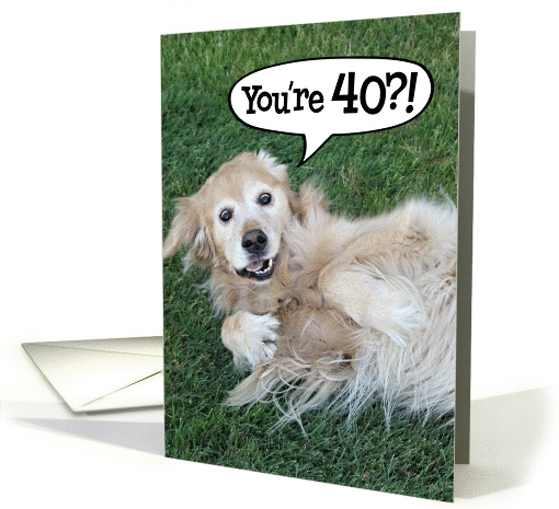 Funny Golden Retriever 40th Birthday card (932868)