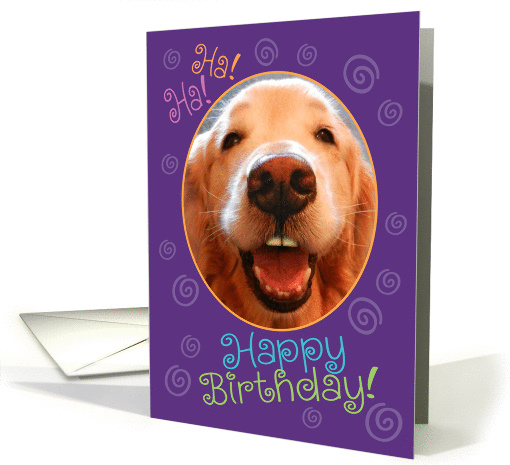 Funny Laughing Golden Retriever Birthday card (980639)