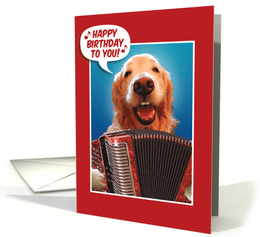 Golden Retriever Singing Happy Birthday and Playing Accordion card