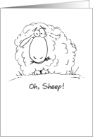 Oh, Sheep! Cartoon Belated Birthday card